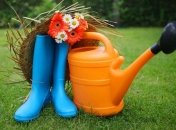 Лунный посевной календарь с 10 по 16 июня 2019 года