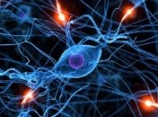 С точки зрения мозга отказ похож на боль