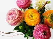 Красивые поздравления с Днем рождения в прозе на 10 марта, открытки