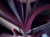 Почему полезно читать детективы?