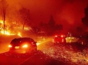 Пожары в США: огненная стихия приближается к реликтовым лесам с тысячелетними деревьями