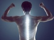 Названы правила здорового позвоночника (Фото)