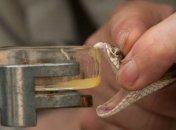 Ученые извлекли элемент змеиного яда из дрожжей