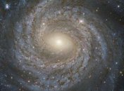 Ученые объявили о "возможном открытии" пятого вида фундаментальных сил