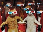 Добірка кращих серіалів березня, які варто переглянути (Відео)