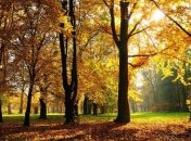 Прогноз погоды в Украине на 5 ноября: малооблачно, без осадков