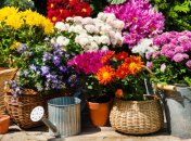 22 августа. Приметы дня