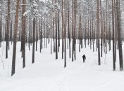 В Карпатах на высоте 2300 метров в июле выпал снег