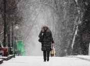 Житомирщину засыпает снегом – толщина покрова 18 см 