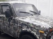 Женщина нетрезвого водителя в Зоне отчуждения покусала полицейского