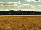 Замминистра экономики: Никакая квота фактически не останавливает экспорт в ЕС