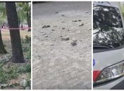 Взрыв в Запорожье: обломки сбитого БПЛА упали в парке, есть пострадавшие (видео)