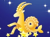 Гороскоп на 2015: Козерог (22 декабря – 20 января)