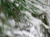 Какой праздник 26 февраля: народные приметы и запреты 