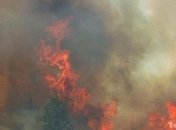 В результате пожара на востоке Джакарты сгорели 150 домов 