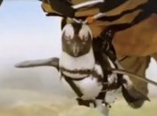 Трогательный ролик. Все птицы должны летать