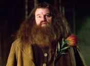 Робби Колтрейн в роли Рубеуса Хагрида