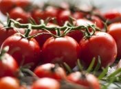 "Волшебные" помидоры: полезные свойства овоща