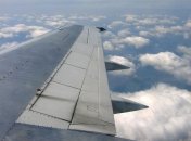 Крылья самолетов будут делать из сахара 