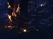 Пожары в Австралии уничтожили 40 тысяч гектаров леса