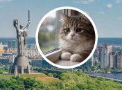 Погода в Киеве