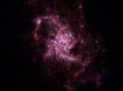 Колыбели будущих звезд видны на снимке соседней галактики