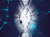 Точнее чем CRISPR: представлено новый метод генного редактирования