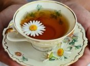 Пыльца везде: аллергологи советуют не пить ромашковый чай