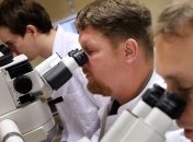 Вспышка сибирки зафиксирована на востоке Германии