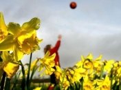 Скандинавские дети живут лучше всех