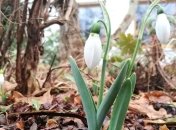 Наступного тижня в Україні очікується +19°