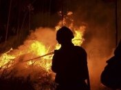 Есть подозреваемый в поджоге херсонских лесов