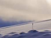 Снижение температуры не грозит озимым культурам 