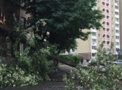 Шторм в Киеве валит на дороги деревья 