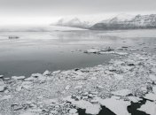 Не только выживают, но и процветают: как живут водоросли в озере Антарктиды