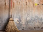 Однією з таких речей є віник