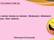 Улыбка на все сто: свежая порция отборного юмора на вечер