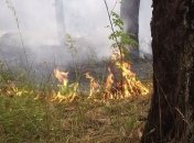 Почти 500 человек тушили масштабный лесной пожар