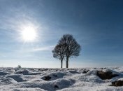 Прогноз погоды на 17 февраля: Украину ожидает резкое похолодание