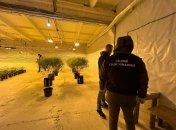 Для рослин створили всі умови