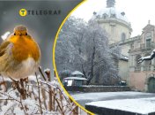 Погода во Львове