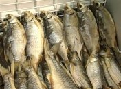 В Харьковской области идет борьба с ботулизмом: изъяли около 300 кг рыбы