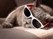 До кінця літа залишилось 19 днів