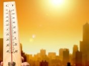 Ученые назвали 2015 год самым жарким за всю историю наблюдений