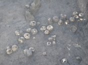 Львовские археологи обнаружили древнюю ткацкую мастерскую  