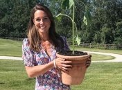 Кейт Міддлтон продемонструвала ідеальний літній образ (Фото)