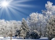 Погода в Украине 18 февраля: преимущественно без осадков 