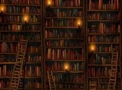 Чиновник забрал у сельских библиотек 7 компьютеров  