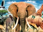 Шокирующая новость от ученых: что произойдет с животным миром