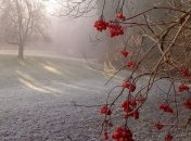 Не только дожди: синоптик предупредила украинцев о надвигающихся заморозках